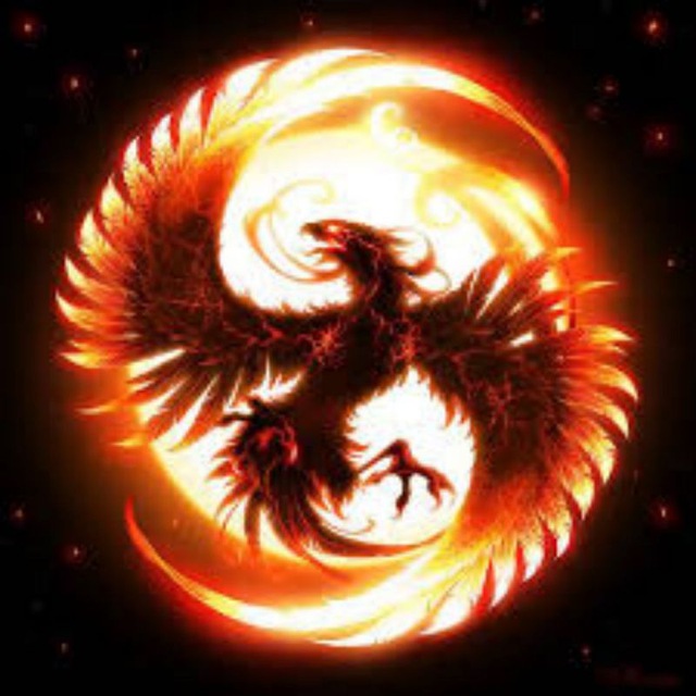 Fenix Aurora